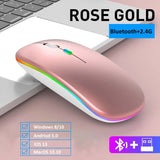 Souris sans fil rvb Bluetooth